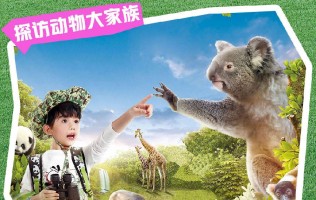 【早鸟特惠】广州长隆野生动物世界标准票（10.7-12.29）至少提前3天预订