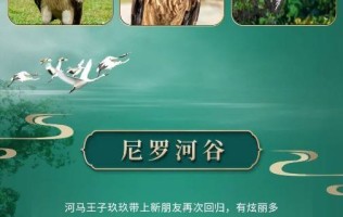 【2021年9月买一免一】广州长隆飞鸟乐园全票（2021.09.01-2021.09.30）