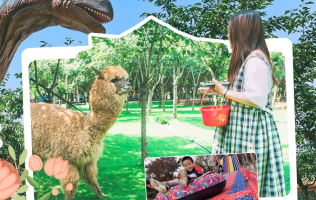 【南京】南京森林大世界¥29.9嗨玩，含单人大门票+自然课堂+玩50多项游玩，600余亩亲子乐园
