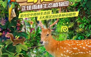 【广州】热带雨林奇遇记~￥139秒「正佳雨林生态植物园」亲子特惠票！室内空中雨林生态园