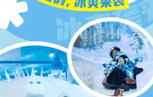 【深圳龙岗】69元=双人『四季漫天冰雪主题乐园』不限时双人畅玩票