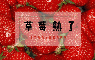 【广州】草莓采摘！19.9元抢购【2-4人】采摘套票！低涌地铁站周边葡萄园！认准葡萄园！免费带走1斤！草莓，当然要吃现摘的啦！